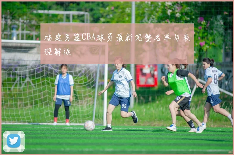 福建男篮CBA球员最新完整名单与表现解读