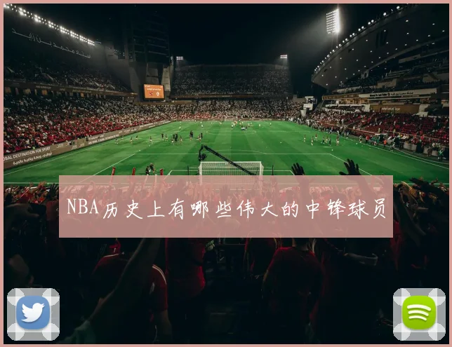 NBA历史上有哪些伟大的中锋球员