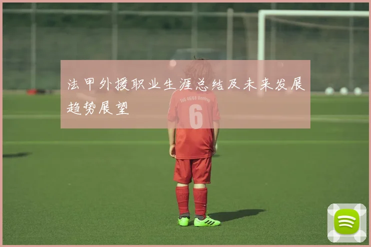 法甲外援职业生涯总结及未来发展趋势展望
