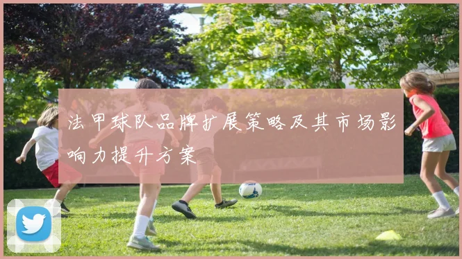 法甲球队品牌扩展策略及其市场影响力提升方案
